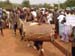 Somba Tromler